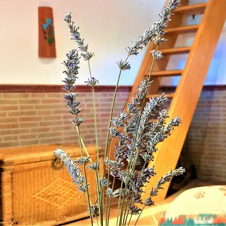 Casa Rural La Finca De Gredos Εξοχικό σπίτι Hoyos del Espino