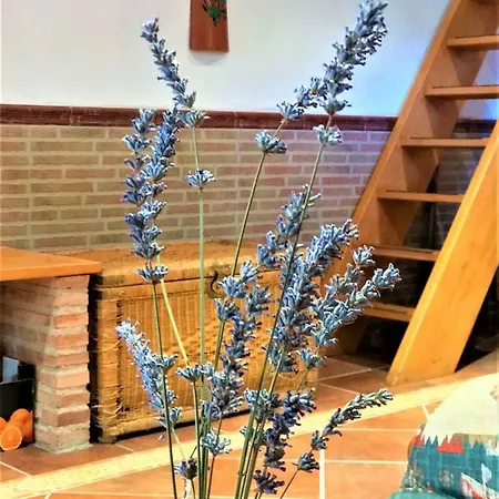 Casa Rural La Finca De Gredos Εξοχικό σπίτι *